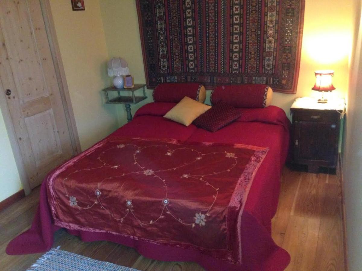 Il Ciliegio Bed & Breakfast Imer Exterior foto