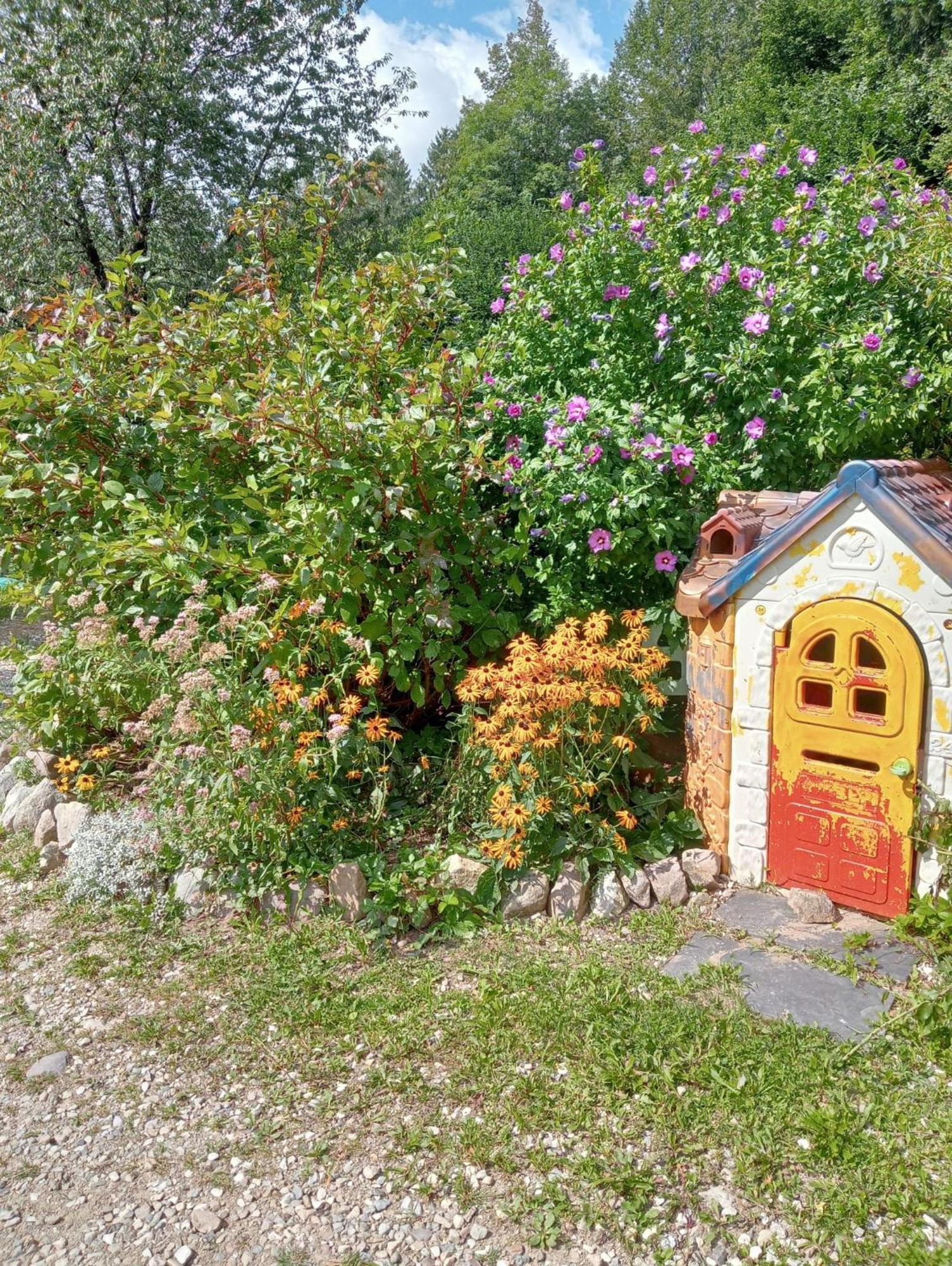 Il Ciliegio Bed & Breakfast Imer Exterior foto
